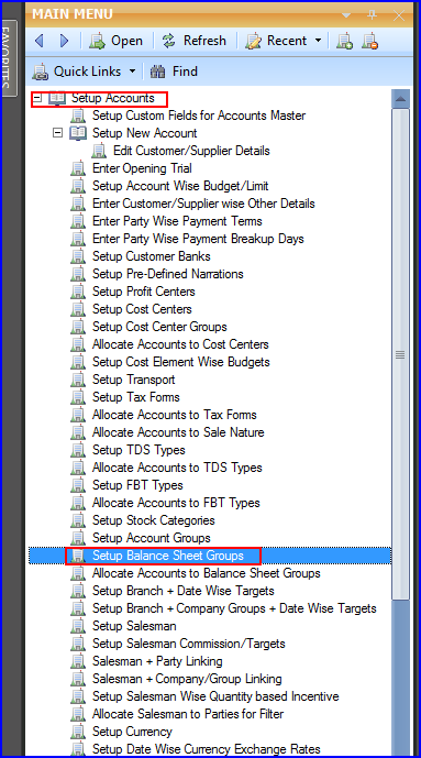 Setup Balance Sheet Groups